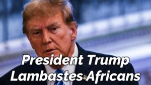 Read more about the article PRESIDENT TRUMP LAMBASTES AFRICANS AND ARABS AND I AGREE