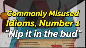 Read more about the article COMMONLY MISUSED ENGLISH IDIOMS, NUMBER 1 (NIP IT IN THE BUD)