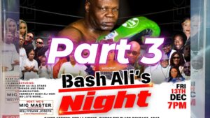 Read more about the article BASH ALI NIGHT AT “THE NEW TOMATOES PUB” IN GWARIMPA DISTRICT OF ABUJA IN NIGERIA, WEST AFRICA, PART 3