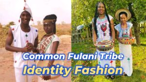 Read more about the article AFRO-CULTURAL TITBITS ON THE FULANI TRIBE OF AFRICA