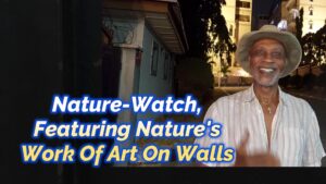 Read more about the article NATURE-WATCH, FEATURING “NATURE’S WORK OF ART ON WALLS”