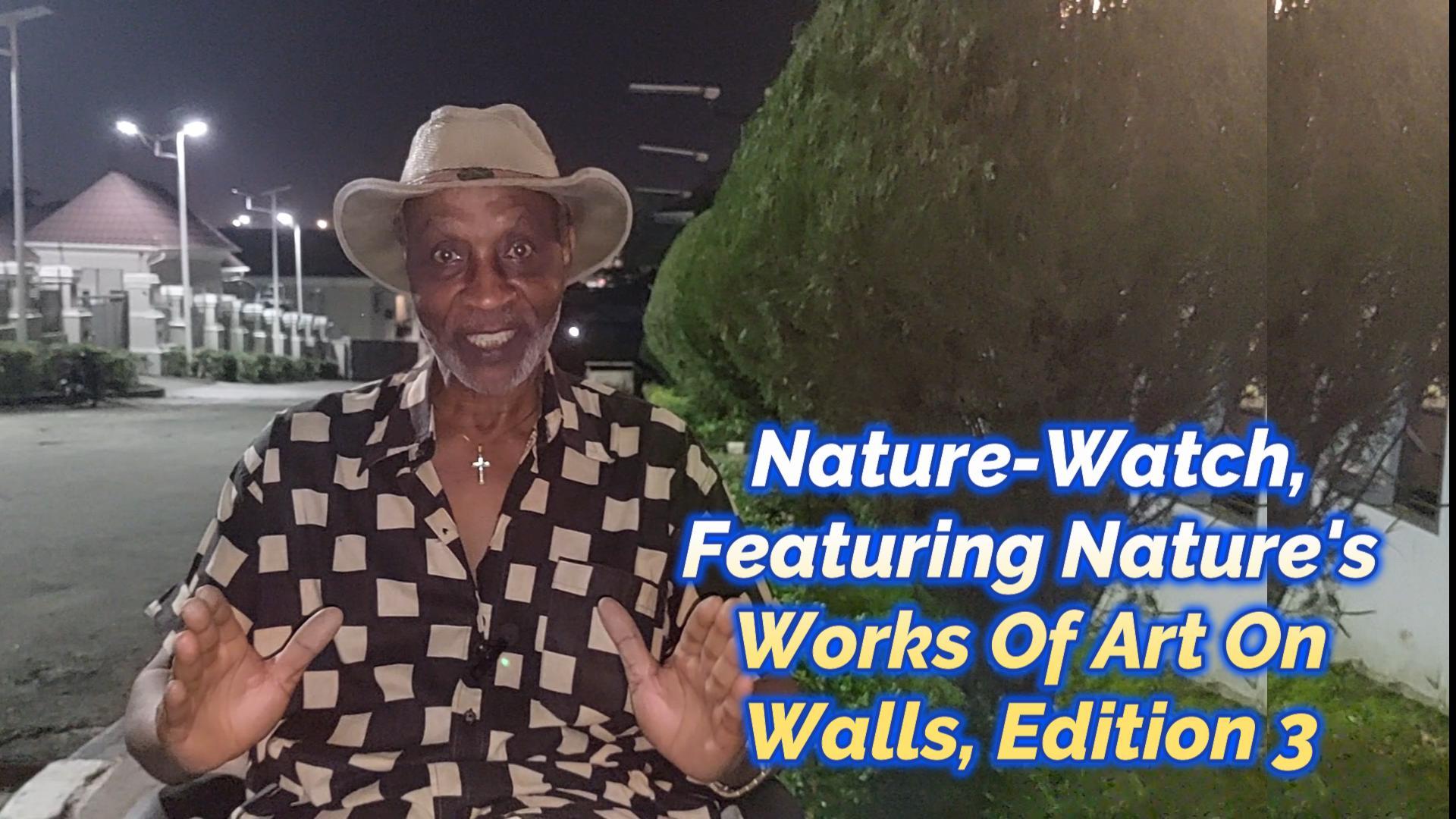 You are currently viewing NATURE-WATCH, FEATURING NATURE’S WORK OF ART ON WALLS EDITION 3 WITH DUCK AND HUMAN IMAGES