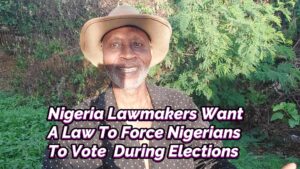 Read more about the article NIGERIA LAWMAKERS WANT A LAW TO FORCE NIGERIANS TO VOTE DURING ELECTIONS