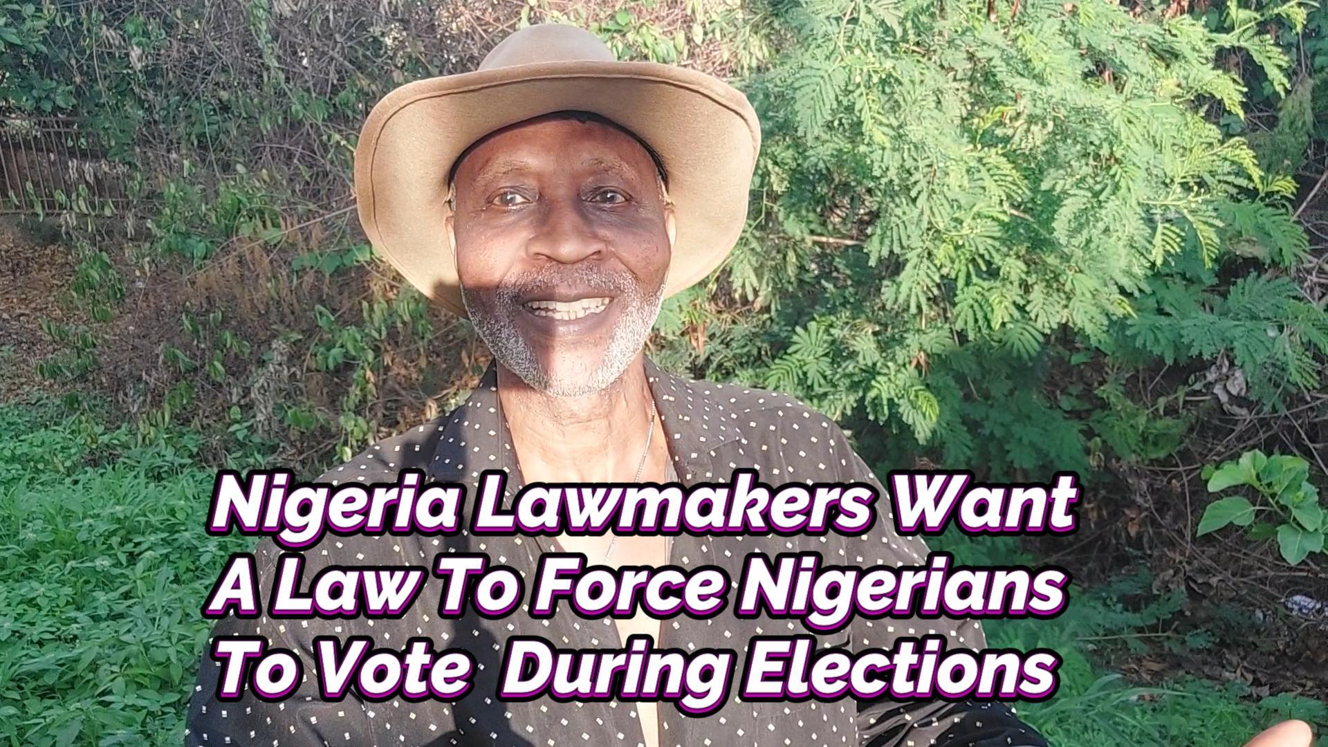 You are currently viewing NIGERIA LAWMAKERS WANT A LAW TO FORCE NIGERIANS TO VOTE DURING ELECTIONS