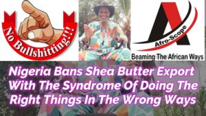 Read more about the article NIGERIA BANS SHEA BUTTER EXPORT WITH THE SYNDROME OF DOING THE RIGHT THINGS IN THE WRONG WAYS