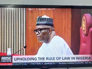 Read more about the article MY NIGERIAN PEOPLE ARE GETTING MORE ANNOYINGLY DOCILE TO ALLOW A FEW RULERS TO DESTROY NIGERIA DEMOCRACY IN FAVOR OF A DEMO-CRAZY, MEEEEEEEEN!!!