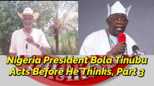 Read more about the article NIGERIA’S PRESIDENT BOLA TINUBU ACTS BEFORE HE THINKS, PART 3