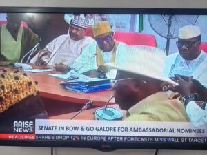 Read more about the article NIGERIA’S CURRENT “RUBBER-STAMP” ASSEMBLY CONTINUES TO DISGRACE THE COUNTRY