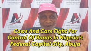 Read more about the article I WATCHED COWS AND CARS FIGHT FOR CONTROL OF ROADS IN NIGERIA’S CAPITAL CITY, ABUJA