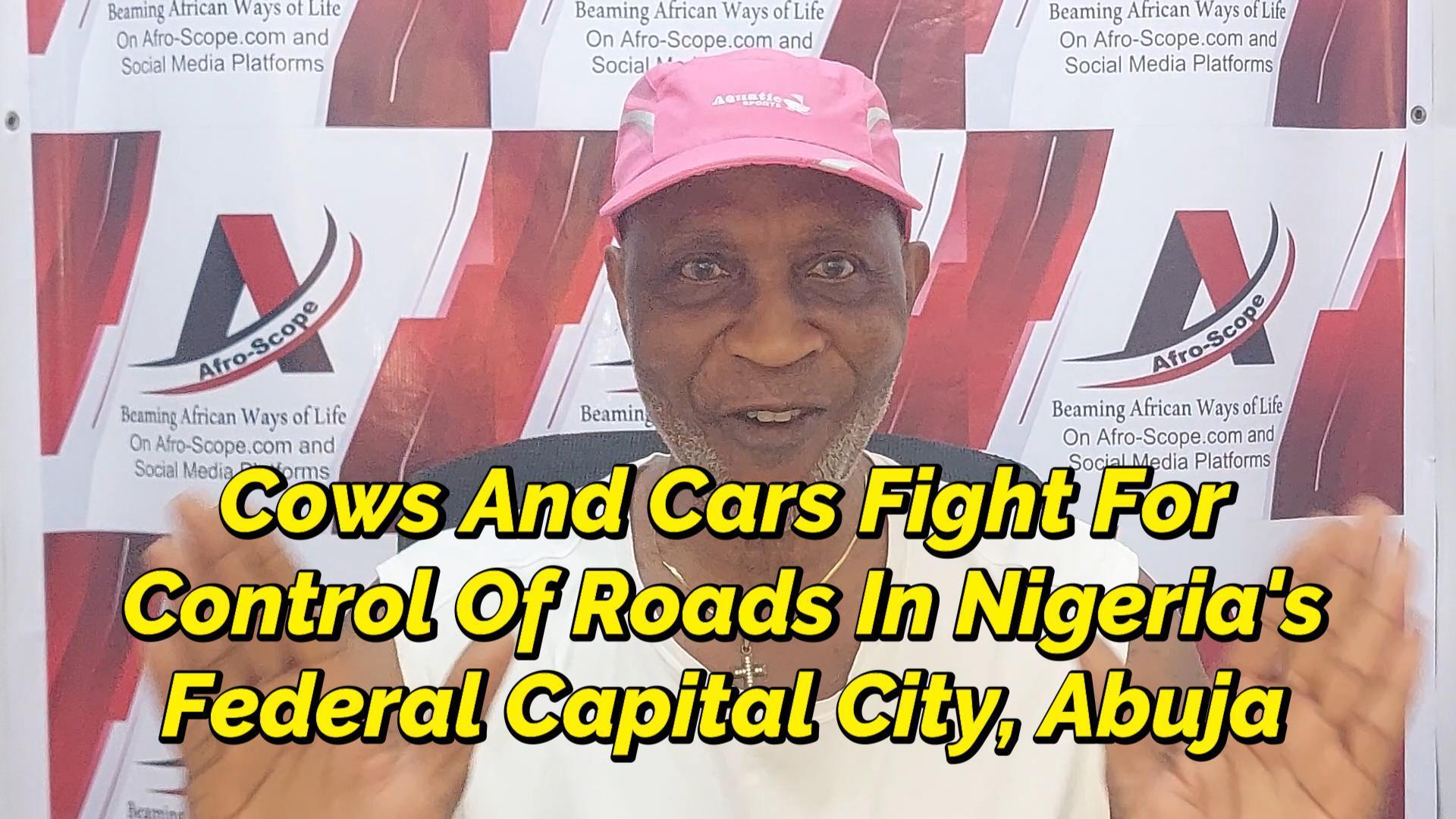 Read more about the article I WATCHED COWS AND CARS FIGHT FOR CONTROL OF ROADS IN NIGERIA’S CAPITAL CITY, ABUJA